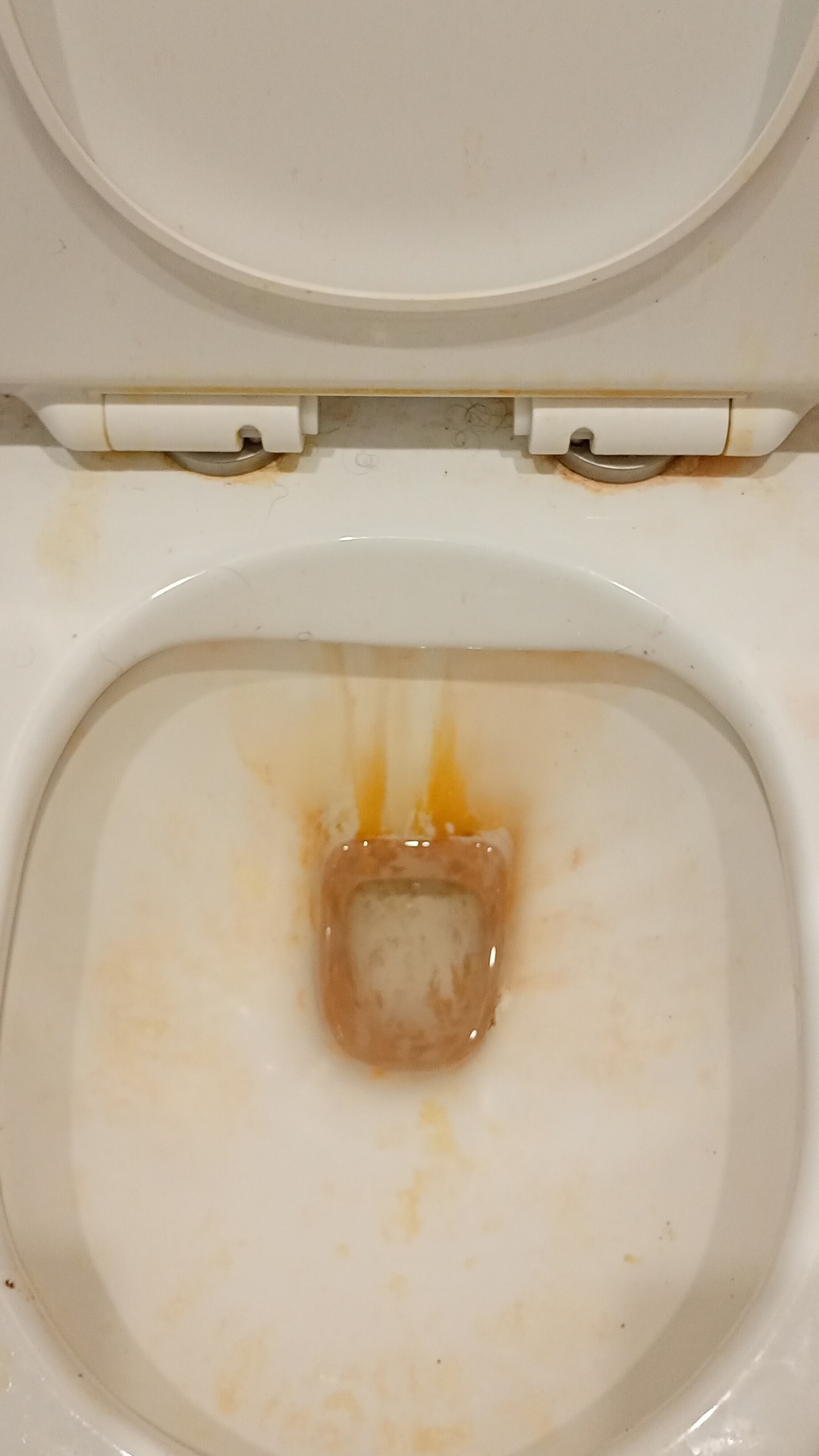 Before photo for Почистване преди/след наематели