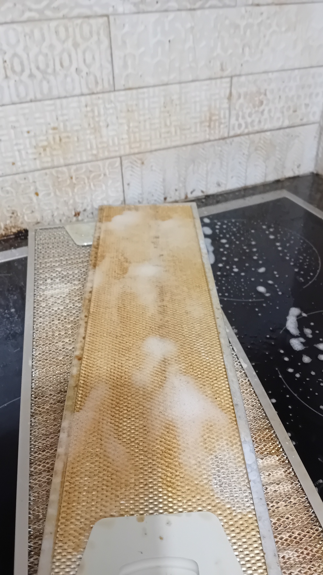 Before photo for Почистване на фурна и хладилник