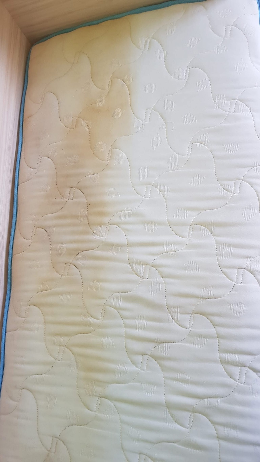 Before photo for Upholstery & Carpet Cleaning