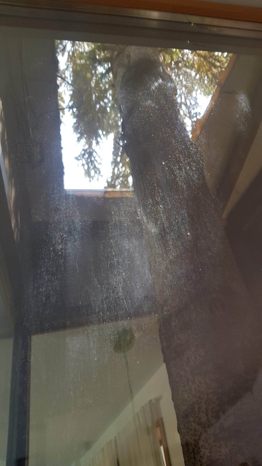 Before photo for Почистване на прозорци