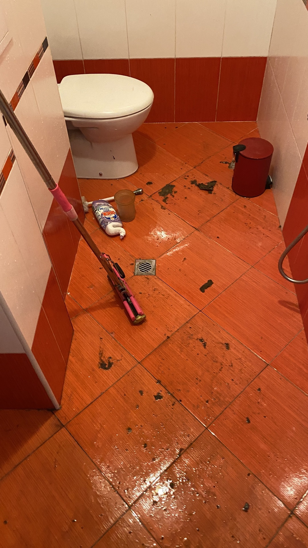 Before photo for Почистване преди/след наематели