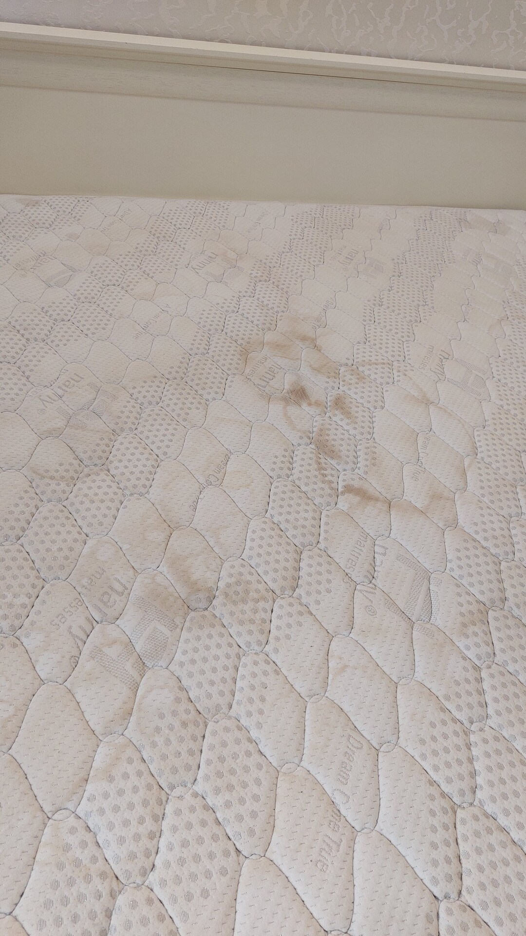 Before photo for Пране на мека мебел и килими