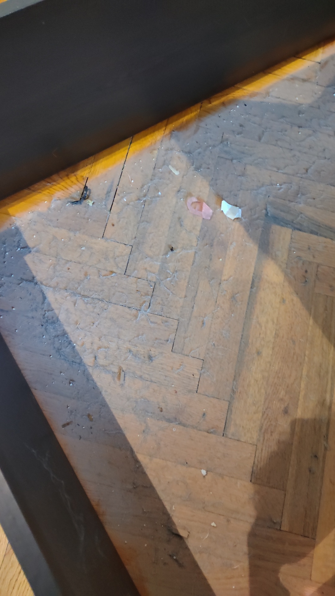 Before photo for Deep Cleaning