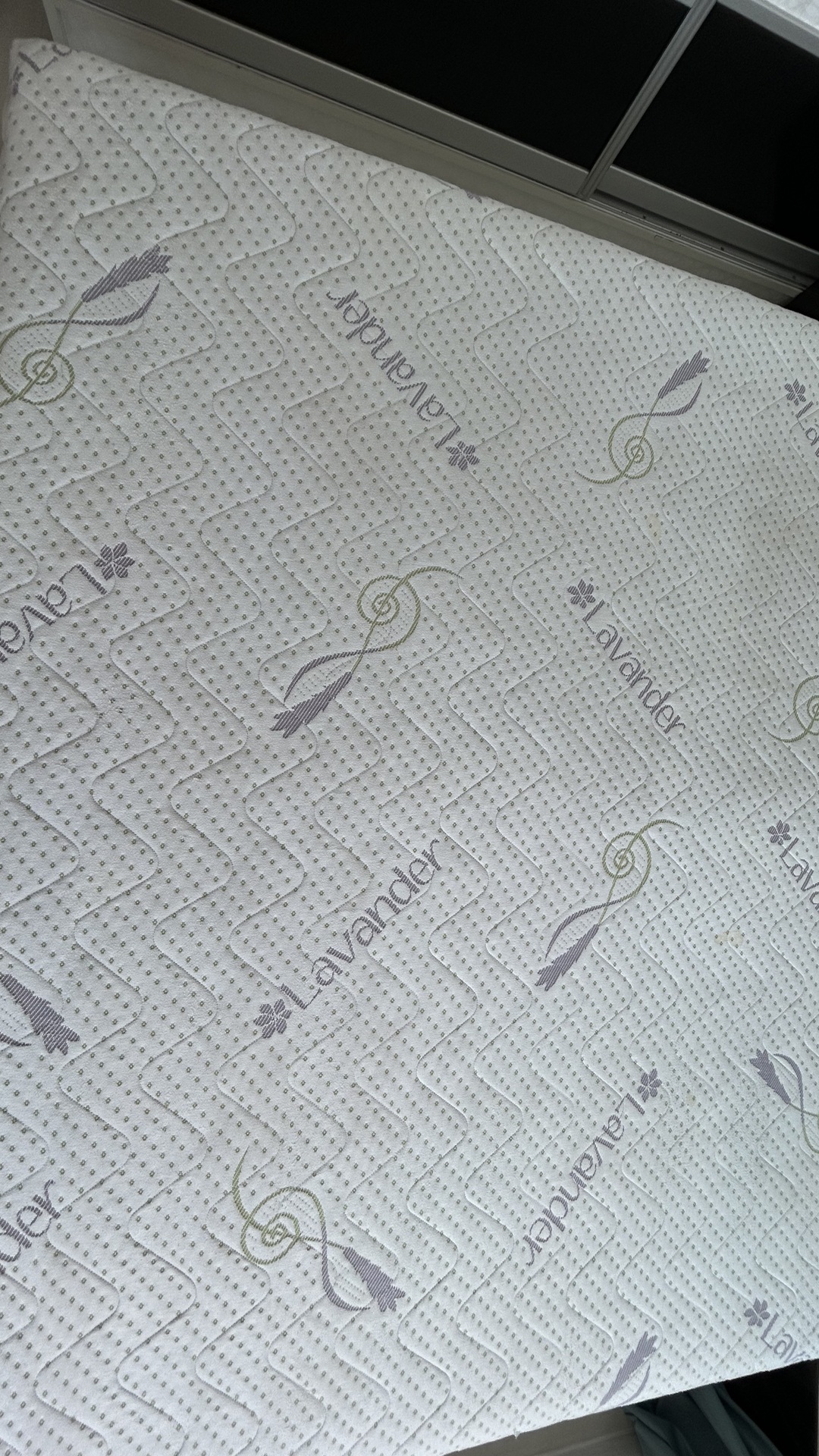 After photo for Upholstery & Carpet Cleaning