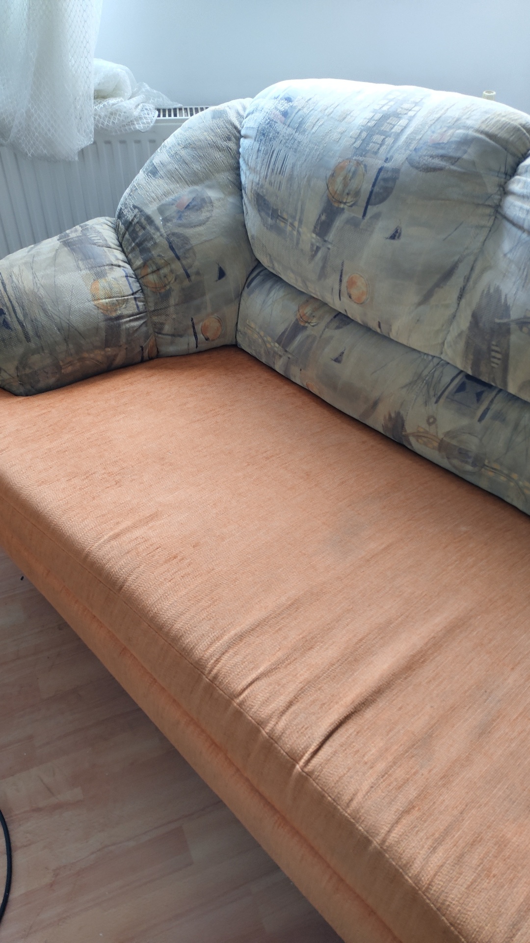 Before photo for Upholstery & Carpet Cleaning