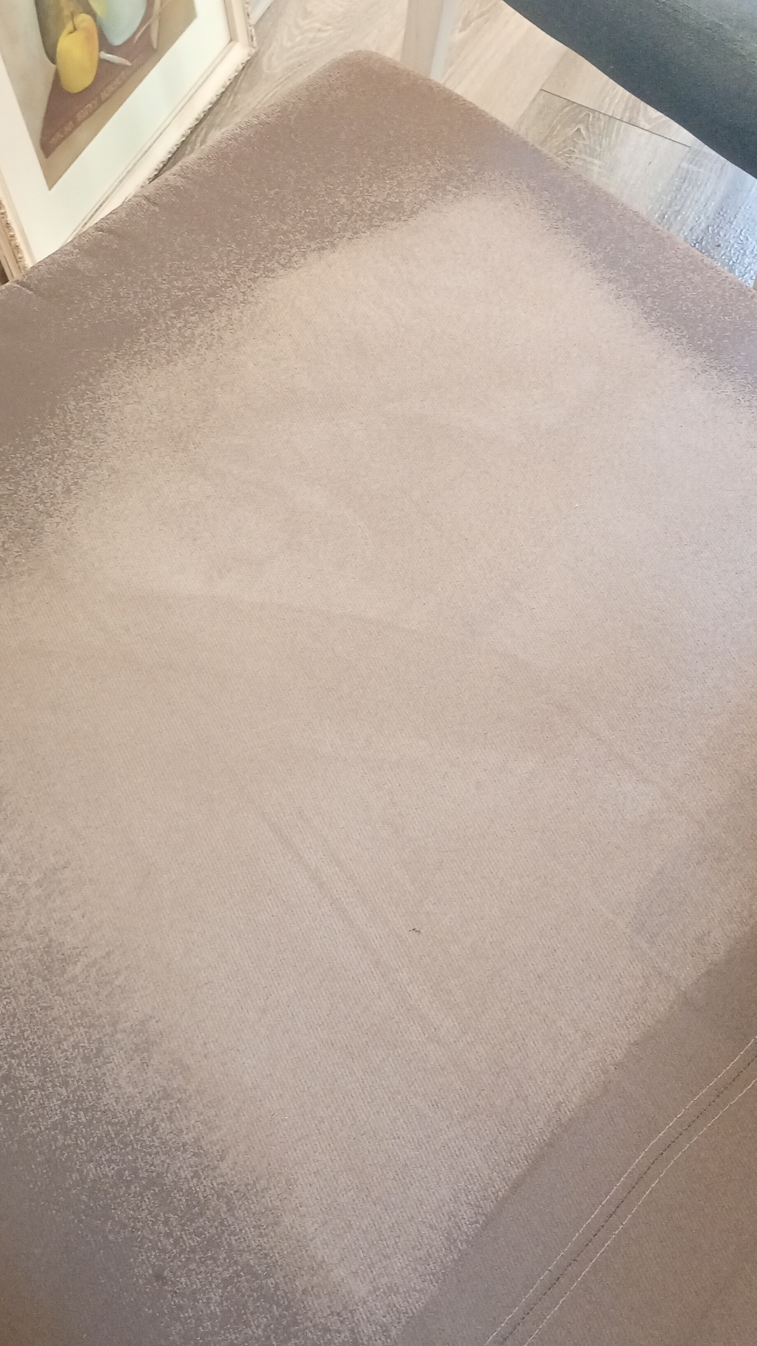 Before photo for Upholstery & Carpet Cleaning